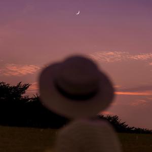 人和性交配兽猪马狗黄色电影免费看
